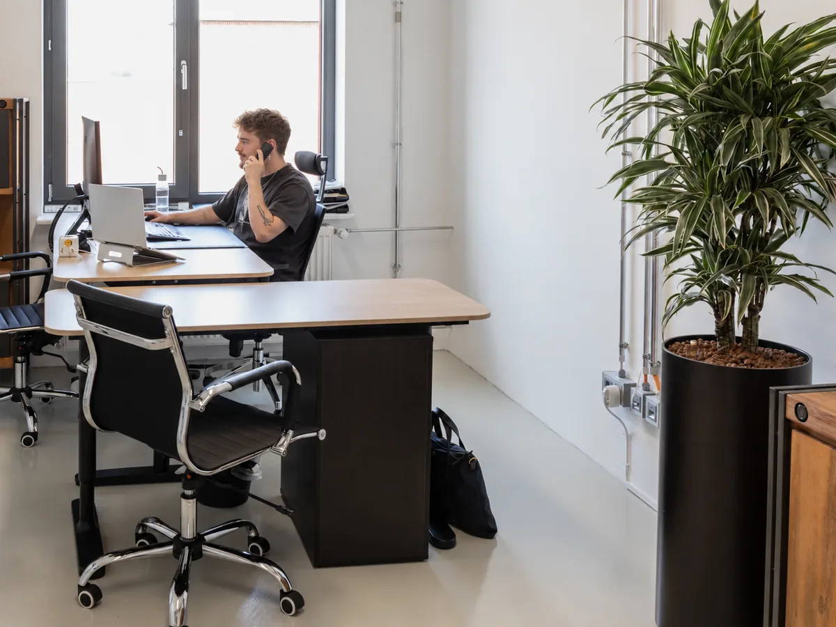 Fotomontage: Pascal Borger telefoniert am Schreibtisch im OnlineDialog-Büro, neben einem Fenster und einer großen Zimmerpflanze.
